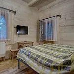 Goscinne Swiatlomir 3*